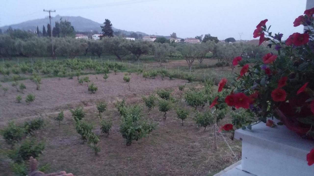 Aloisio'S Estate Daire Gaitani Dış mekan fotoğraf